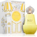 Tea Time à Paris Tartelette Citron Jeanne Arthes