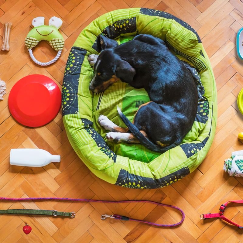Accesorios para mascotas