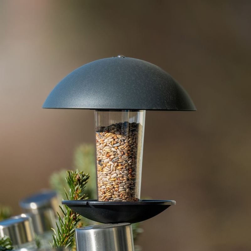 Alimento para aves y peces