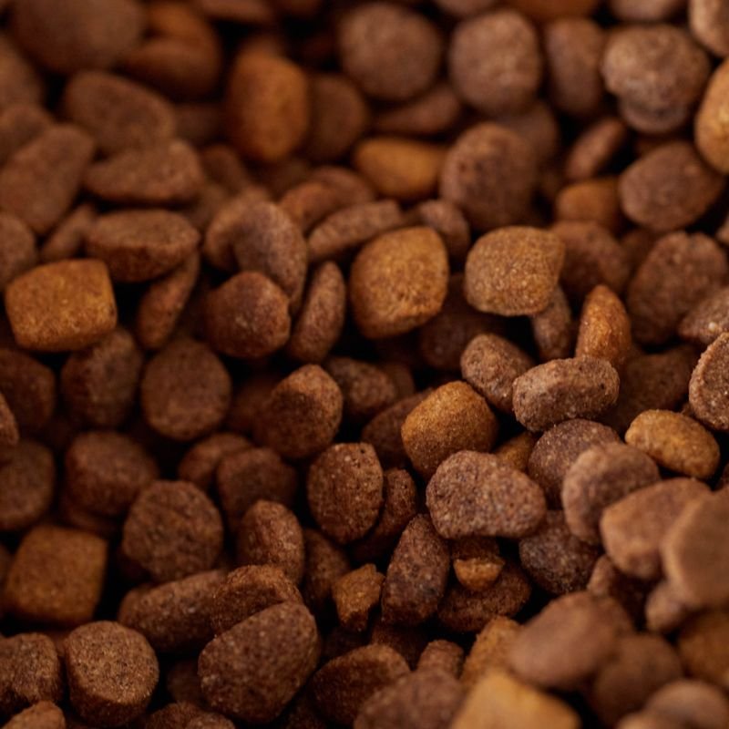 Alimento para perros