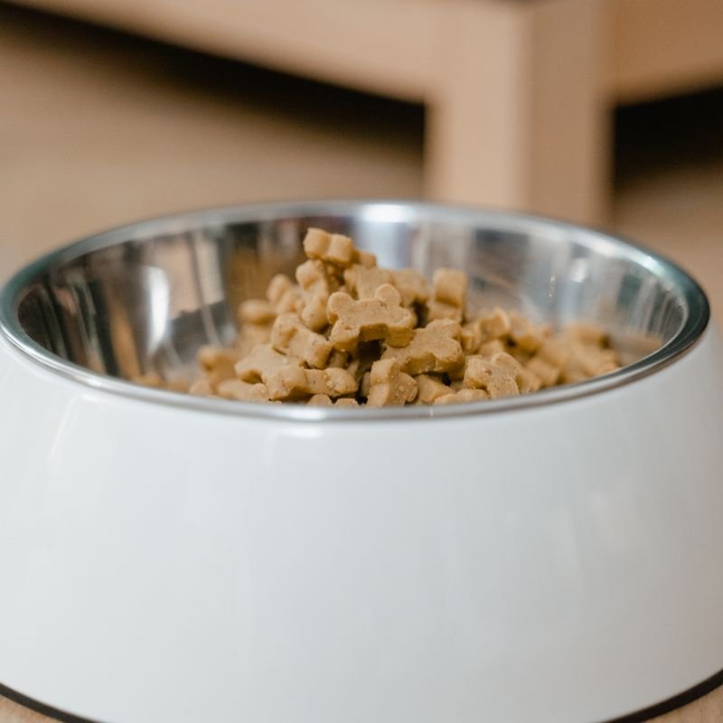 Alimentos para mascotas