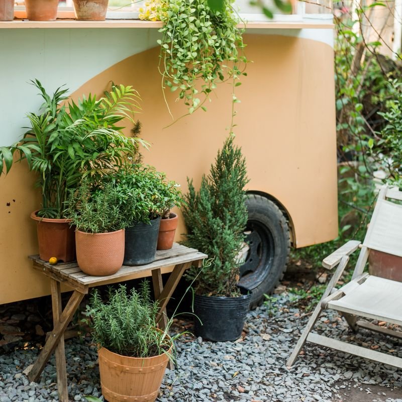 Jardinería y exteriores