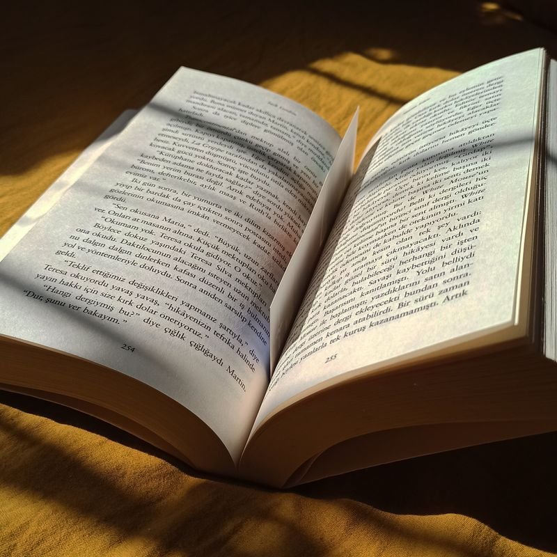 Literatura y ficción