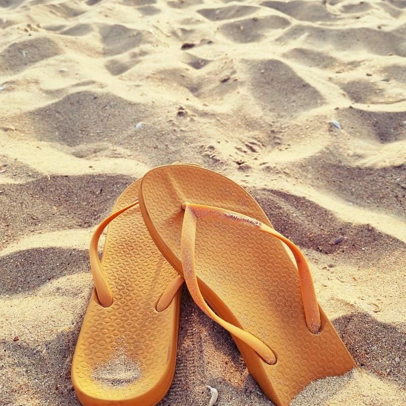 Sandalias y ojotas