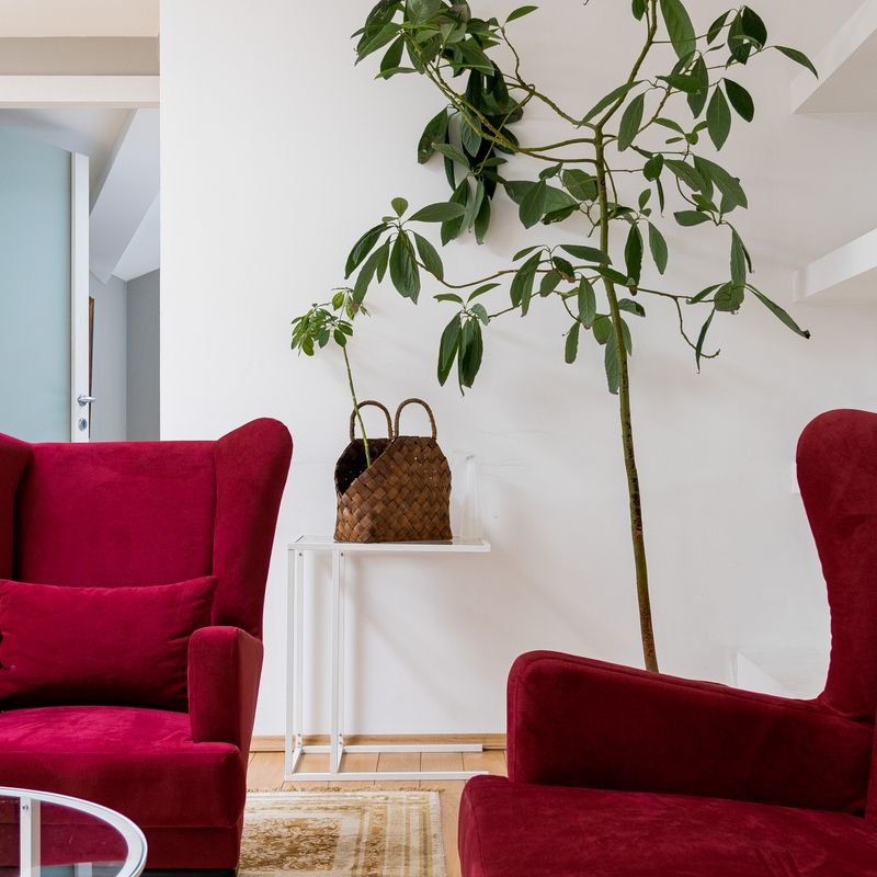 Sofás y sillones