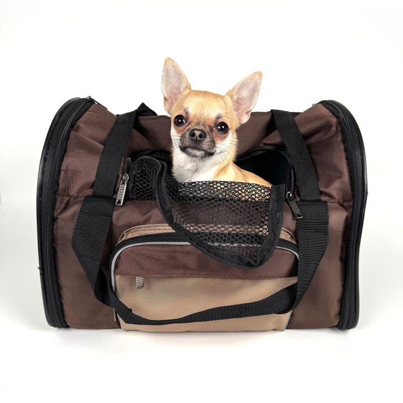 Transportadoras para mascotas