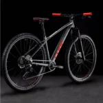 Bicicleta Cube Analog, 29, Sram Eagle SX 1x12V